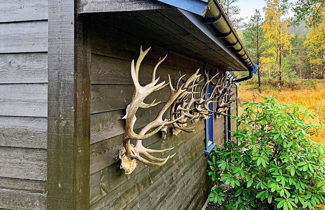 6 Person Holiday Home in Ostereidet - Foto 25