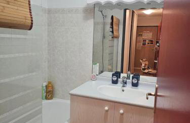 Location aux Sybelles pieds des pistes à Saint-Sorlin-d'Arves - Foto 10