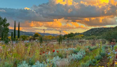 Serene Studio Near Wineries, Oak Creek and Sedona - Foto 2