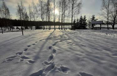 GREEN HOUSE - Foto 24