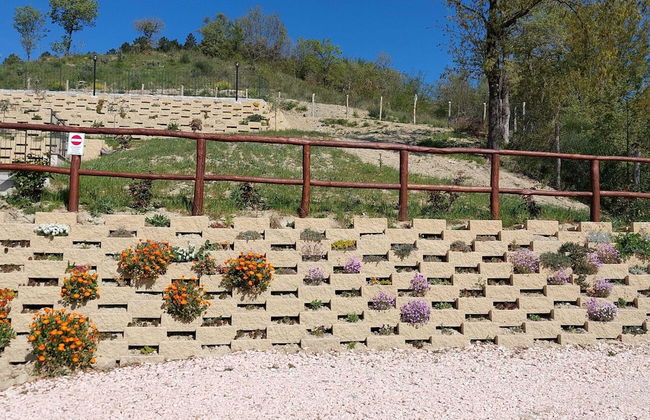 Belvilla by OYO Poggio Marino - Photo 40