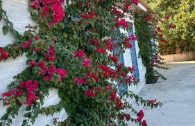 Casa Rural Madre del Agua. Finca El Robledillo - Foto 21