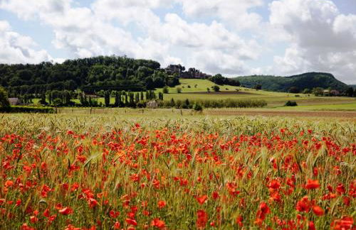 Restored Farmhouse for10 persons with Pool & Airco - Foto 34