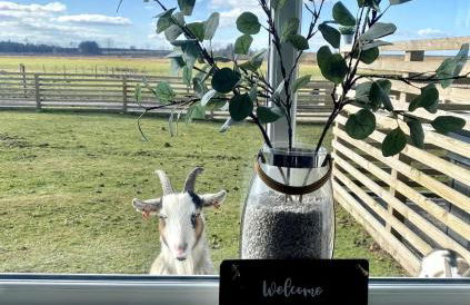 Clover Lodge - Foto 18