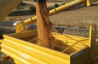 Agriturismo Baglio Calanchi - Foto 35