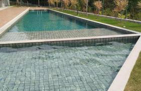 Terra Mater Residencial - Foto 12