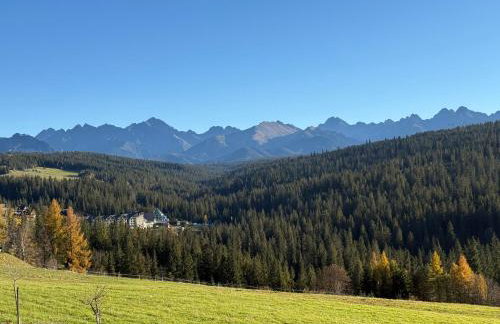 Bukowina Tatrzańska -Czarna Góra- Black Apart- widok na Tatry, jacuzzi, bilard, game room - Foto 55