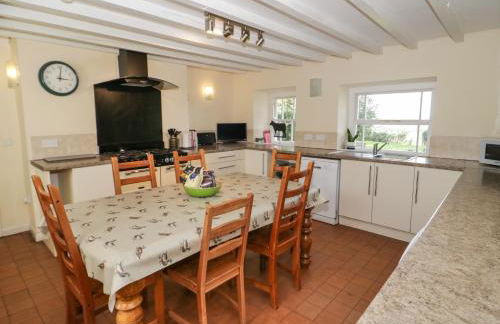 Bryn Dedwydd Farmhouse - Photo 6