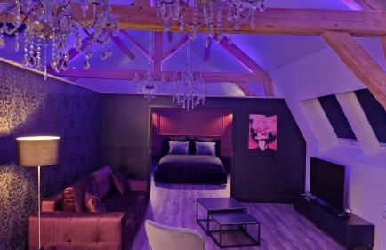 La suite Baroque jacuzzi au cœur du château de Boissettes - Foto 1