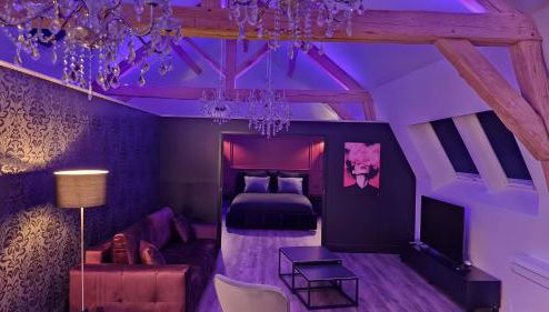 La suite Baroque jacuzzi au cœur du château de Boissettes - Foto 1