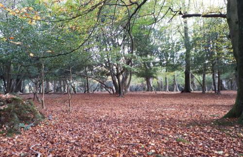 Spacious family cottage with private garden and forest walks - Foto 24