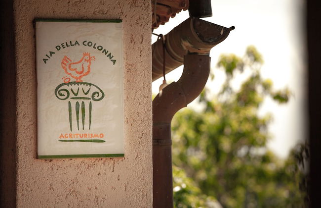 Agriturismo Bio Aia della Colonna - Foto 51