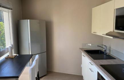 Appart' Hôtel Fauriel Saint-Etienne Parking privé balcon wifi - Foto 2