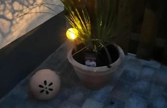 Bei Heike - Foto 31