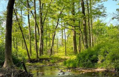 Historic Canal Home on Nature Preserve - Foto 19