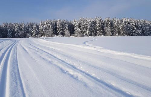 Antonówka - Foto 65