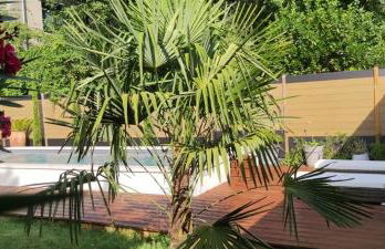 Toulousaine calme espace détente - Photo 2