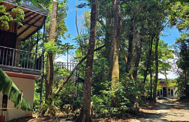 Cabañas Roca Verde Monteverde - Photo 80