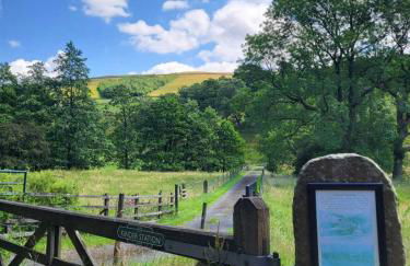 The Waltzing Weasel - Photo 22