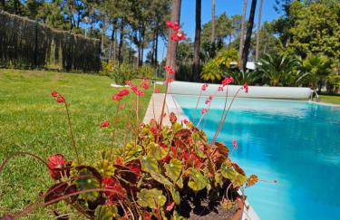 Charming Villa Jarros Private pool & Golf - Foto 51