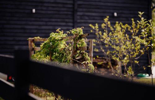 Domek de Janauis - Foto 33