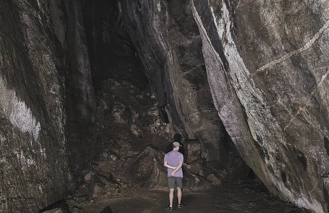 Visita guiada al bosque de Tijuca para grupos pequeños - Foto 9