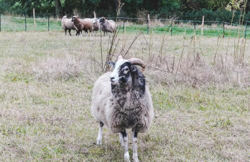Ferienhof Elmenhorst - Foto 1