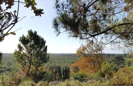 Domaine du Flamand - Gîtes du Pin Sec côté OCEAN - Photo 41