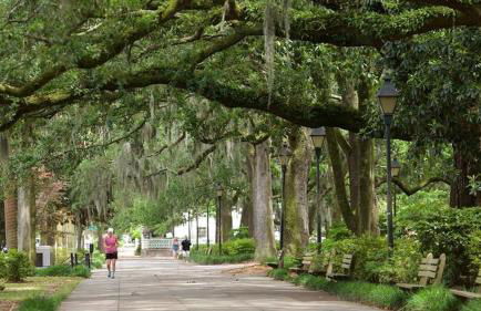 Beautiful Forsyth Park Charmer - Amazing Location! - Foto 15