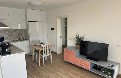 Apartamento Rofe by Vulcano Homes - Foto 6