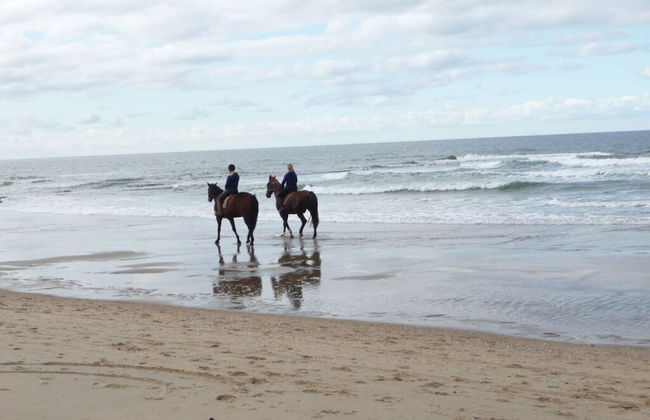 Villa Seewind Comfortable Holiday Residence - Foto 29