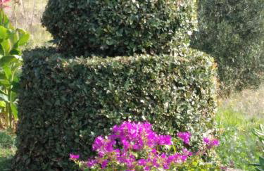 Apartments Panorama view Zeljko Scerbe - Foto 79