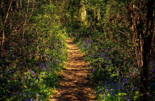 Mulberry Cottage - Photo 36