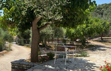 Pandora Villa - Foto 26
