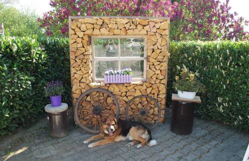 Ferienhof Hummer - Photo 20