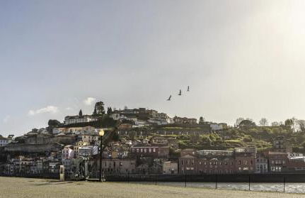 Wonderful Porto Design Apartments - Foto 25