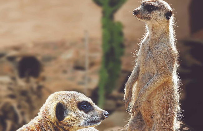 Palmitos Park Ticket - Photo 3