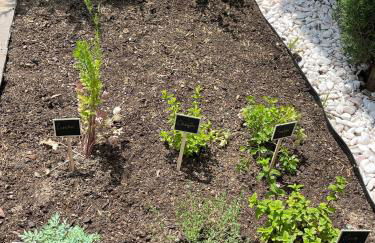 Casa Dona Adelaide - Foto 25