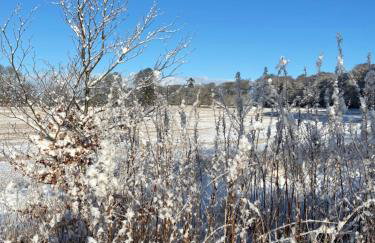 Dalvey Ploughmans Cottage - Foto 26