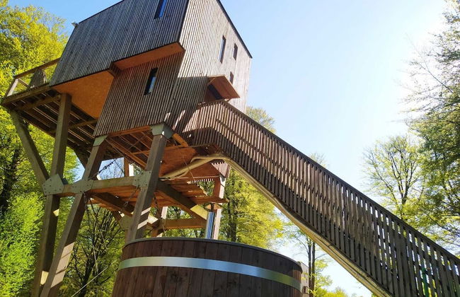 Etape en forêt - Foto 10