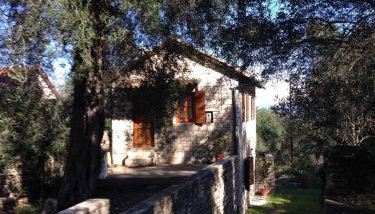 The "M" House - Photo 2