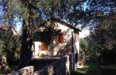 The "M" House - Photo 2