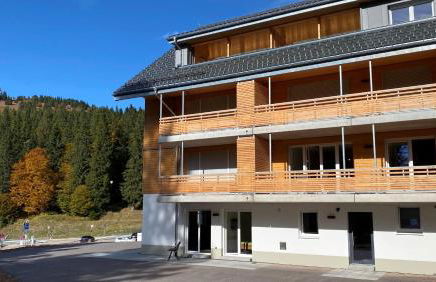 Wiesenquell Apartment Feldberg - Foto 13