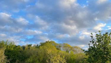 Agroturismo Erretegi Haundi - Foto 4