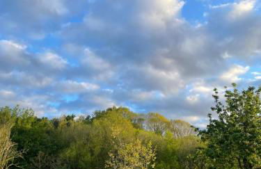 Agroturismo Erretegi Haundi - Foto 4