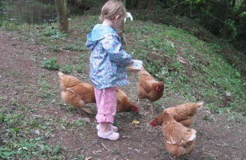 The Long Barn nr Huntsham - Foto 16