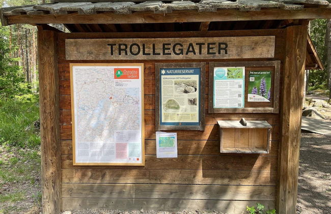 5 Person Holiday Home in Ulrika - Foto 6