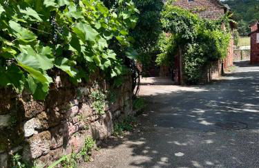 Maison de la Fontaine - Typique - Bourg de Collonges - Foto 47