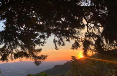 I Rondoni Villa - Foto 29