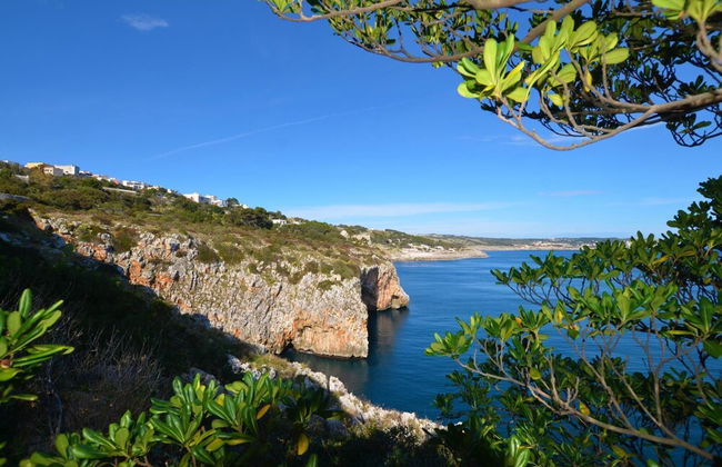 Cst002e in Castro With 1 Bedrooms and 1 Bathrooms - Foto 22